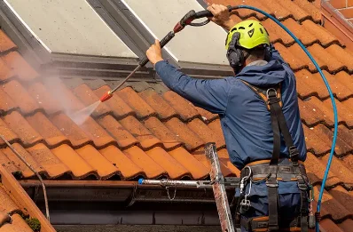 Démoussage et hydrofuge de toiture à l'Épine-aux-Bois